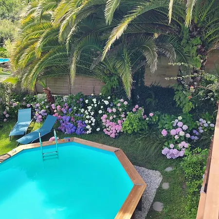 Villa Bois Sur Pilotis Avec Vue Sur Foret *