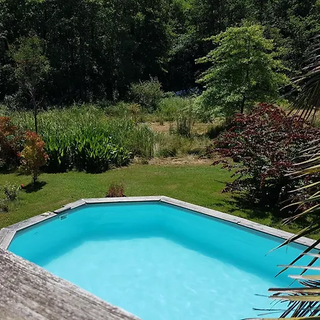 Bois Sur Pilotis Avec Vue Sur Foret Tarnos